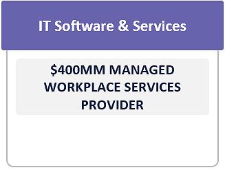 IT Software & Services